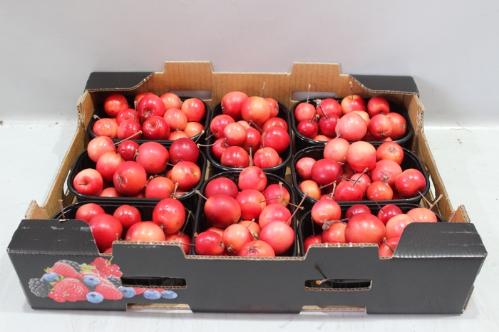 Siervruchten per bak Malus overig