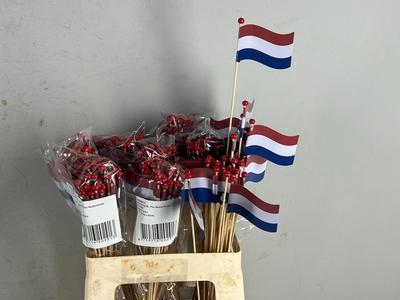 Huis en tuindecoratie overig H%