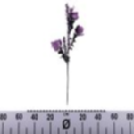 0076a40f-b0d3-4a04-977f-ecb0e2c6de94.webp