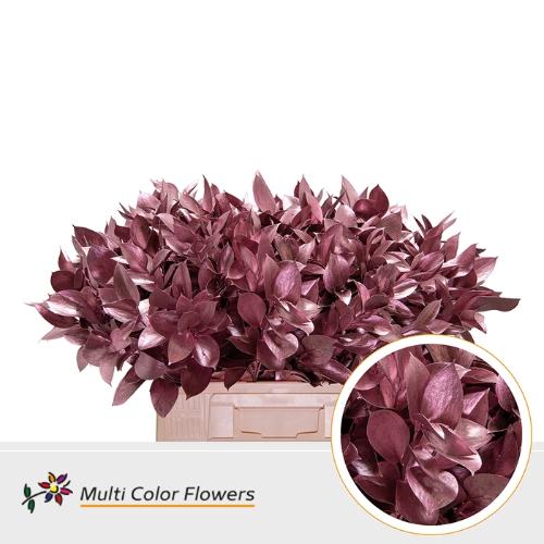 Ruscus kleurbehandeld H%