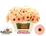 0166b702-efcd-41b4-9d75-c32cd35d6f57.jpg