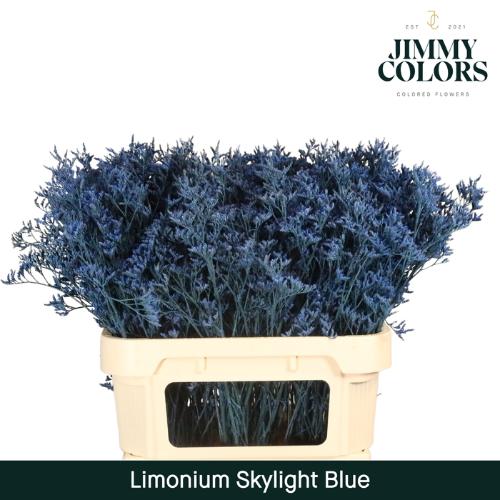 Limonium overig kleurbehandeld H%