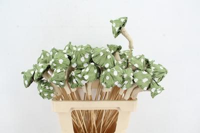 Huis en tuindecoratie overig H%