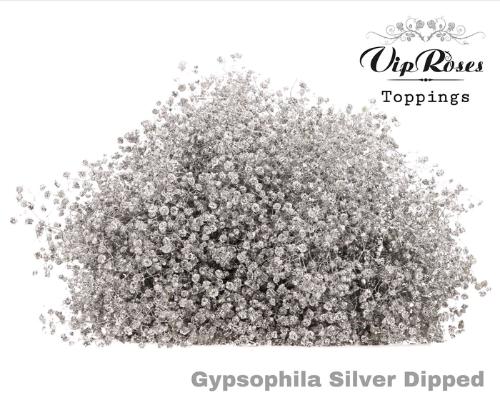 Gypsophila overig kleurbehandeld H%