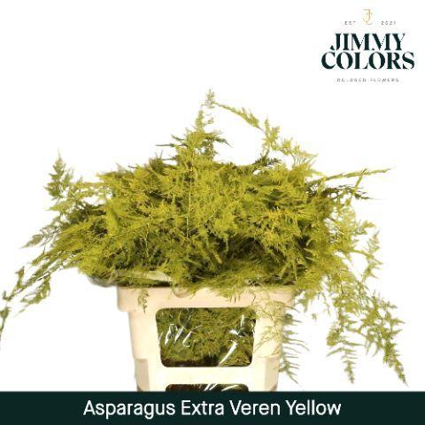 Asparagus overig kleurbehandeld H%