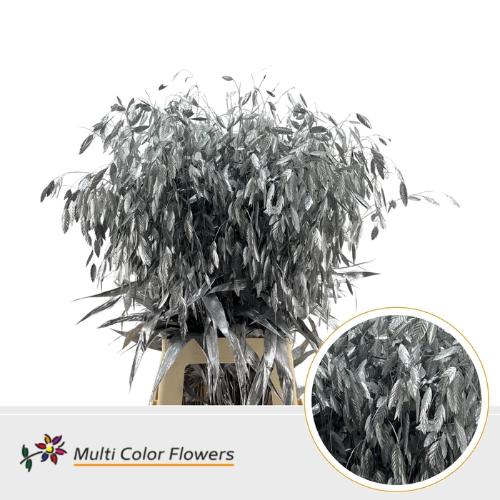 Siergras kleurbehandeld H%