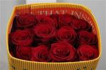 02ed42c6-19bb-4ce1-8877-b3399acbb10c.jpg