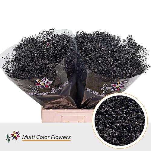 Gypsophila overig kleurbehandeld H%