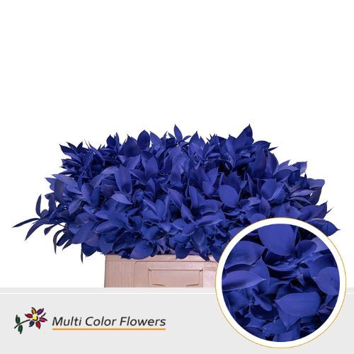 Ruscus kleurbehandeld H%