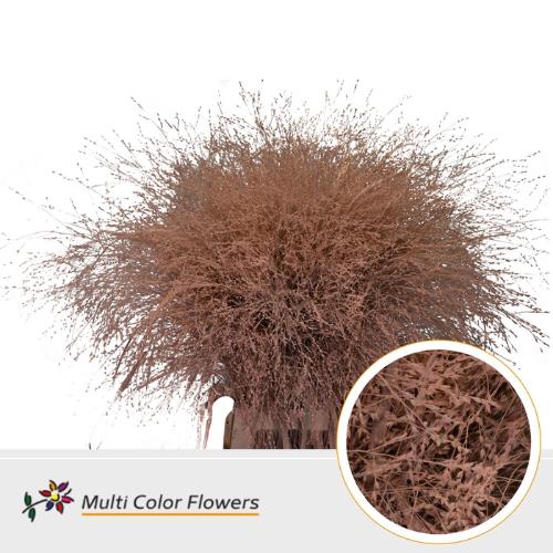 Siergras kleurbehandeld H%