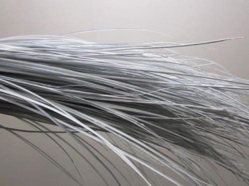 Xerophyllum tenax Beargrass kleurbehandeld per bos H%