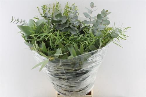 Eucalyptus per bos gemengd