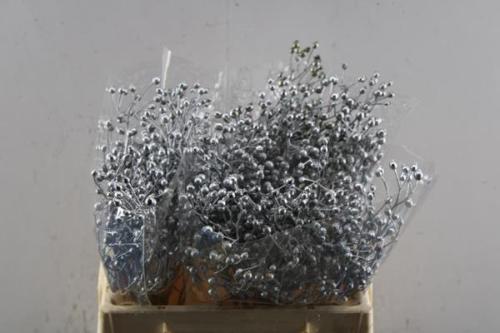 Snijbloemen overig kleurbehandeld H%