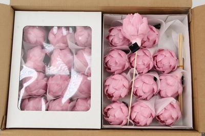 Huis en tuindecoratie overig H%