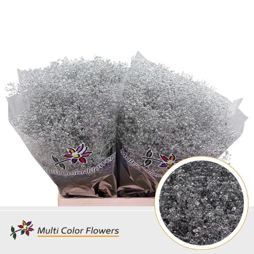 Gypsophila overig kleurbehandeld H%