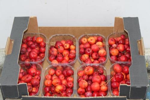 Siervruchten per bak Malus 'Red Sentinel'