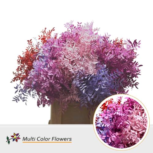 Decoratiegroen kleurbehandeld per bos H%