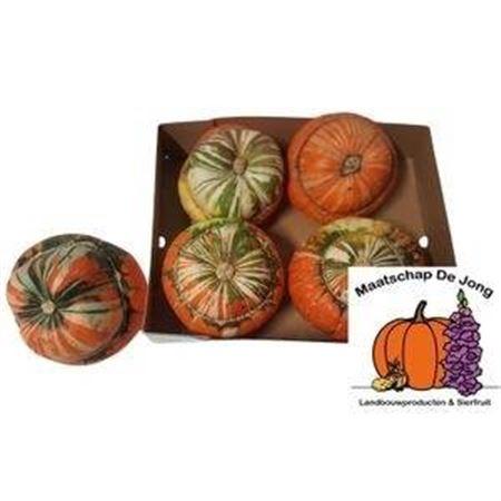 Siervruchten per stuk Cucurbita maxima Turk's Turban Mix