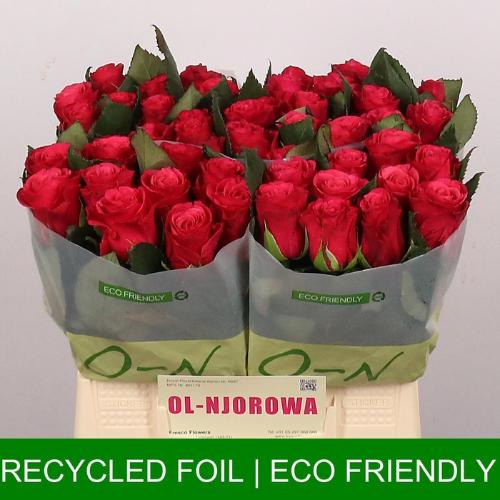 Rosa grootbloemig Tacazzi+