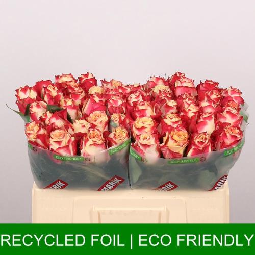 Rosa grootbloemig Chapeau