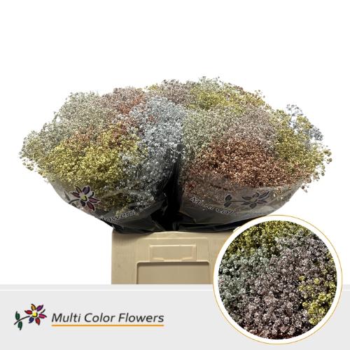 Gypsophila overig kleurbehandeld H%