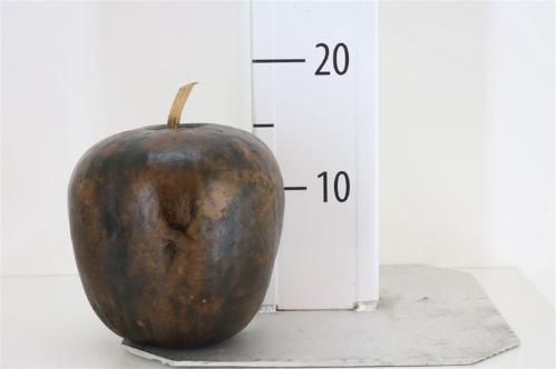Decoratiegroen overig