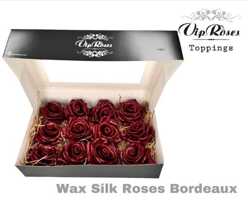 Rosa grootbloemig kleurbehandeld H%