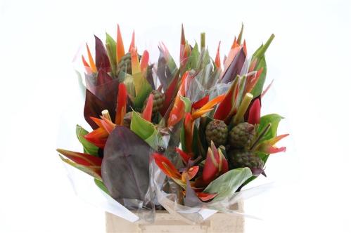 Heliconia boeket