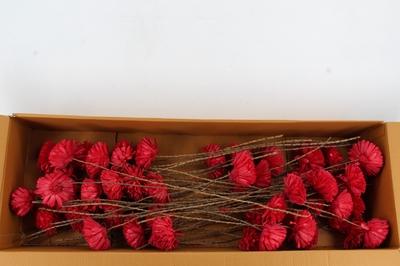 Huis en tuindecoratie overig H%