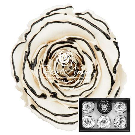 Rosa grootbloemig kleurbehandeld H%