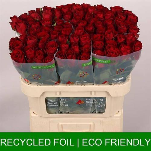 Rosa grootbloemig Madam Red