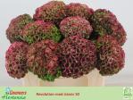 080214e1-caea-49a6-b0cf-b106a9fffd0b.jpg