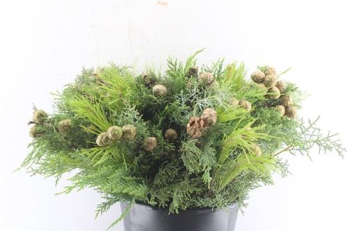 Kerstgroen overig per bos