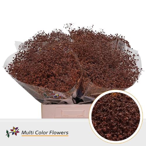 Gypsophila overig kleurbehandeld H%