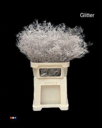 Limonium overig kleurbehandeld H%