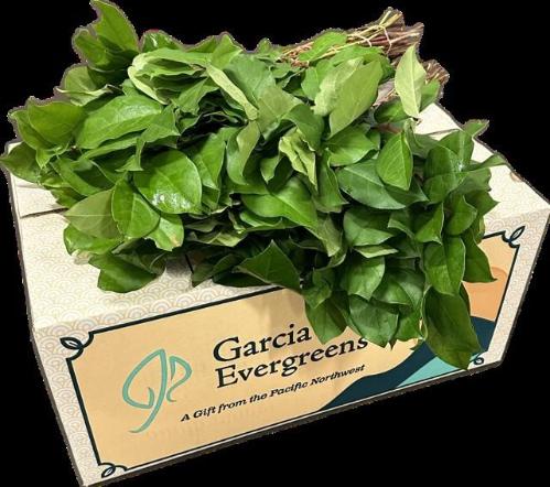 Gaultheria shallon per bos