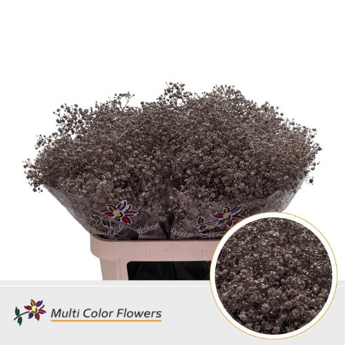 Gypsophila overig kleurbehandeld H%