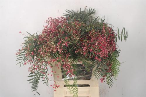 Decoratiegroen overig per bos