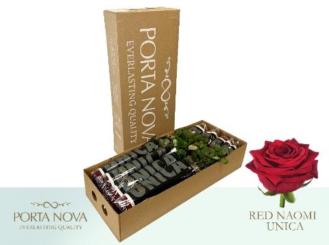 Rosa grootbloemig Red Naomi!