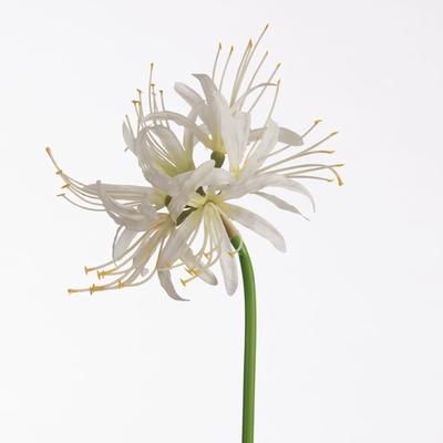 Kunstbloem H%