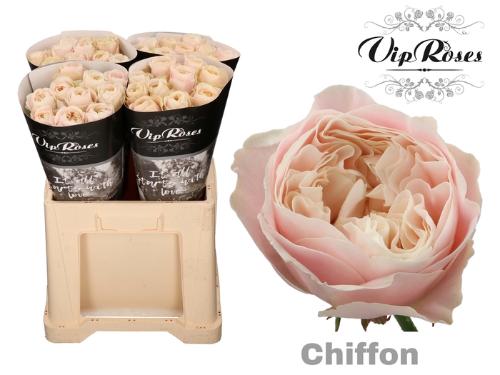 Rosa grootbloemig Chiffon