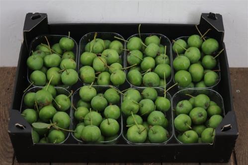 Siervruchten per bak Malus overig