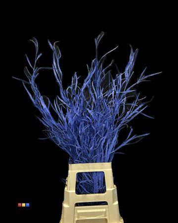 Decoratiegroen kleurbehandeld per bos H%