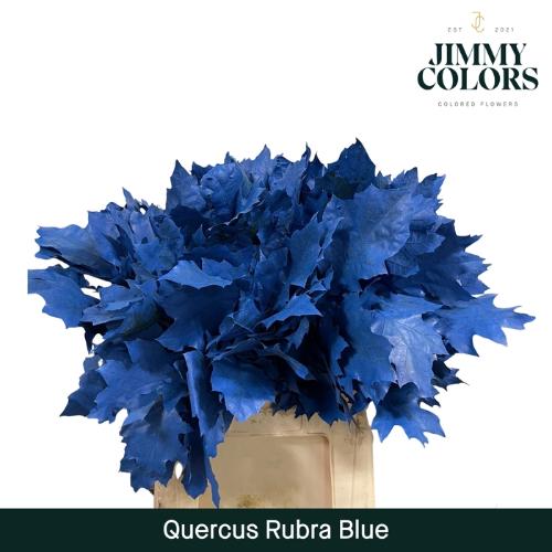 Quercus rubra kleurbehandeld H%