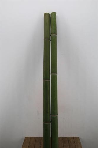 Decoratiegroen overig