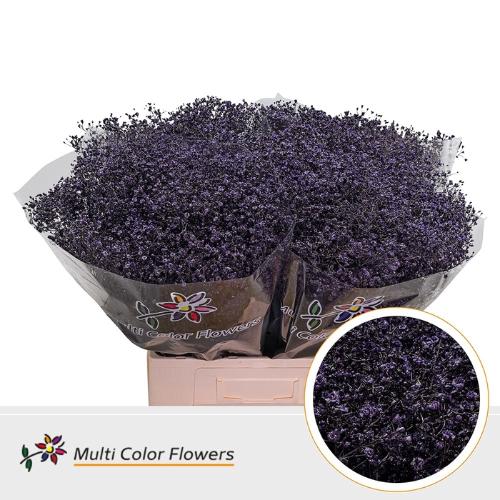 Gypsophila overig kleurbehandeld H%