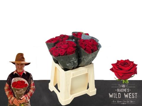 Rosa grootbloemig Red Naomi!