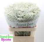 0d2be81d-5247-4cc1-80d7-080178cab57c.jpg