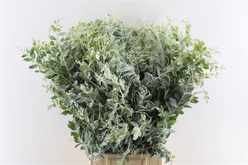 Decoratiegroen overig per bos