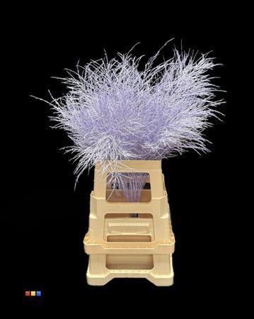 Decoratiegroen kleurbehandeld per bos H%